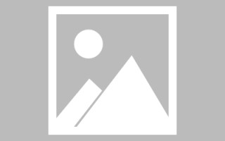 沛县招聘官网网页设计教程（招聘官网网页设计教程下载）